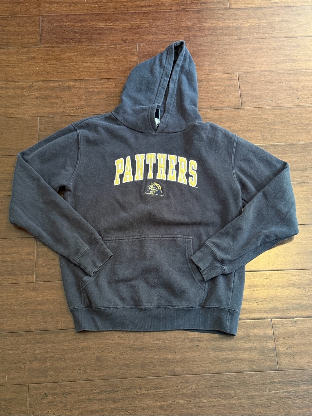 Navy Panthers Pullover Hooded Sweatshirt